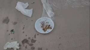 O cafe da manhã ja foi servido e engolido ? come tudo mesmo ?Mas tô brava pq a lixeira vomitou #toilet…