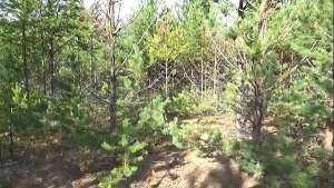 Hot MILF in nature in holey tights