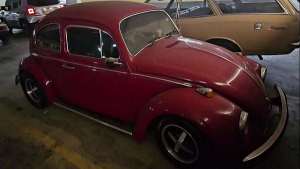 Driving Red – Revving Fusca Vintage