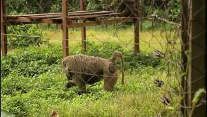 These two tourists crossing paths in a park could discover unexplored places and memorable moments together.
