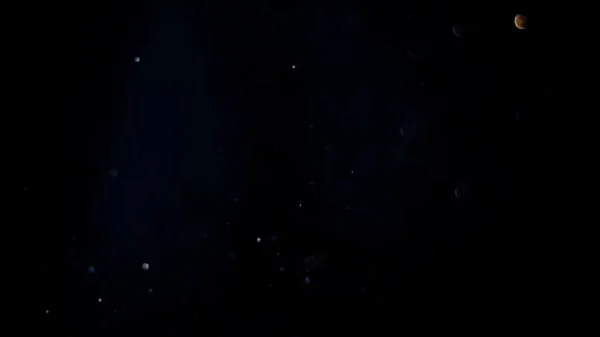 Ménage com MILF brasileira maravilhosa montando numa grande vara preta