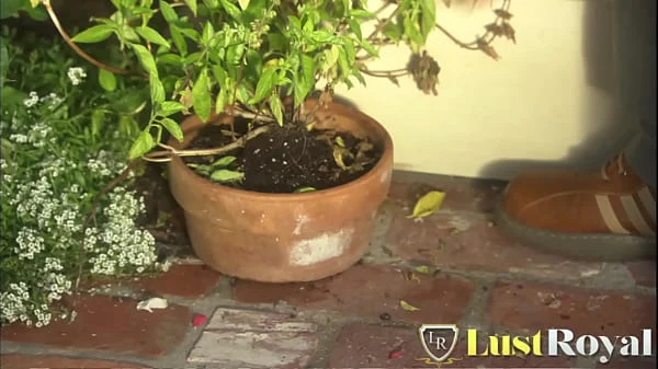 Roxy Jezel hardcore fucking on stairs