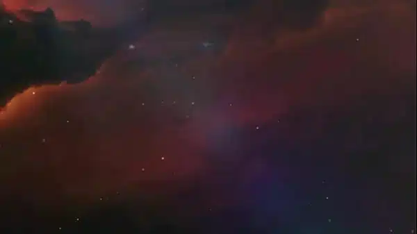 Bella Grey: Hotel Room Blowjob