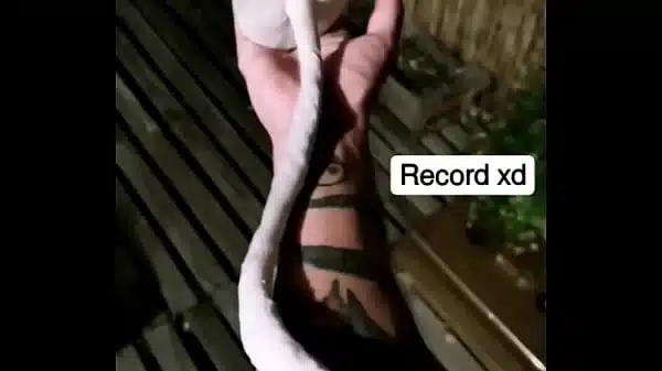 Chileno con callampa del porte de su brazo