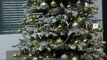 Christmas affair with her step niece