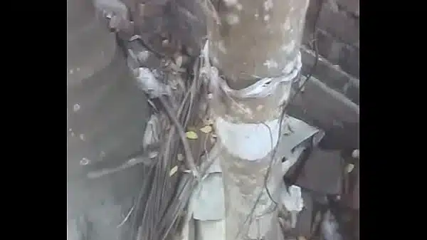 gosol bangladeshi aunty 2