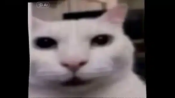 Mensaje para mis seguidores