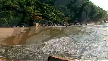 Sucking his big cock at the beach ends with the brunette milf having anal sex