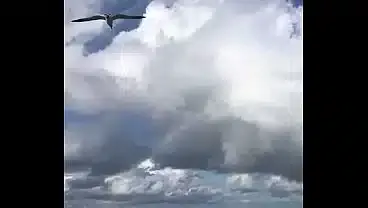 BEACH DAY WITH A RAINBOW