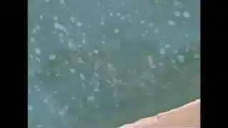 XXX 4: Sex In The Great Outdoors: Luna Lane vs Tony Martino