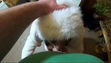 Kinky Snow White in White Fur – Deepthroat, Facefuck & Cum on My Coat