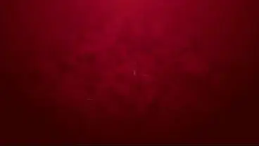 Lexistar – First rough DP 2on1 with piss