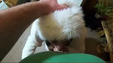 Kinky Snow White in White Fur – Deepthroat, Facefuck & Cum on My Coat