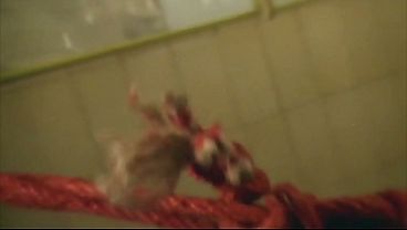Bondage Sex Boiler