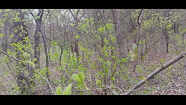 I pee and fuck my lover in the mouth in the forest so that my wife doesn’t catch us