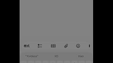 验证视频