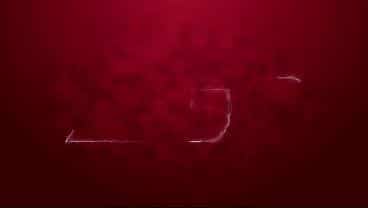First DVP and DAP for Sofiya Ershova 3on1 Rough