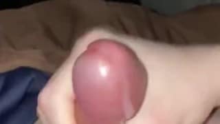 Morning Wood