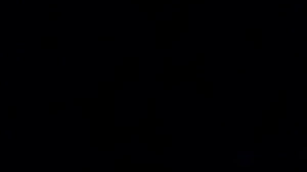 認証動画