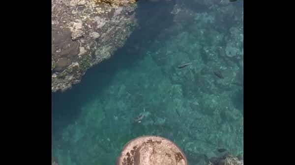 認証動画