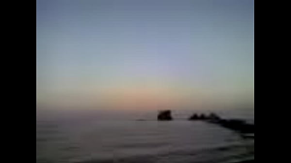 Sea Love
