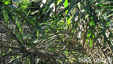 WE FUCK IN THE BUSH BECAUSE SHE WAS SO HORNY AND COULD NOT WAIT 10
