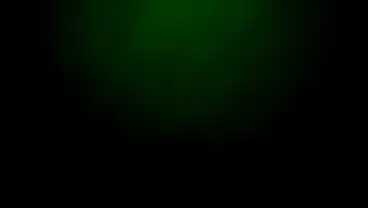 Xvideos