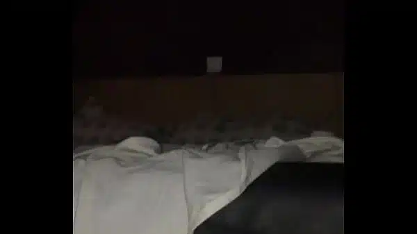 xvideos